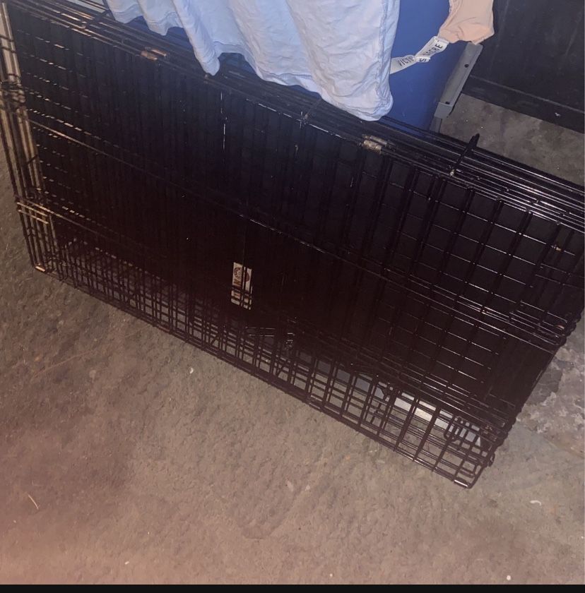 Dog Kennel