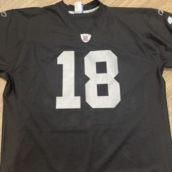 Authentic Raider jersey