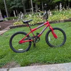 20" Bicycles