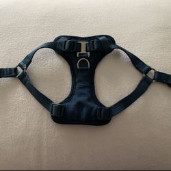 Good2Go Blue Small Harness 