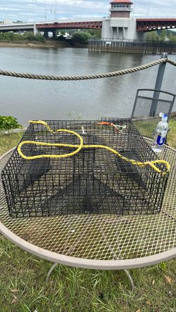 Shrimp Prawn traps