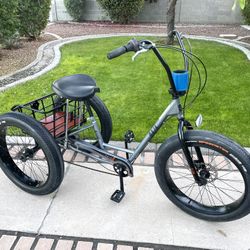 Baja Trike