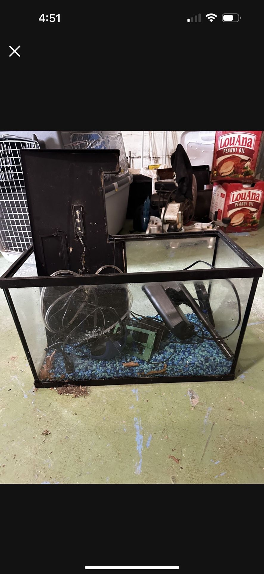 10 Gal Aquarium 