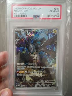 N's zekrom