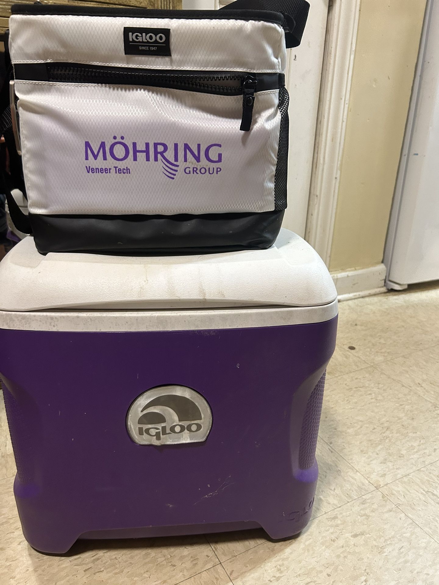 Igloo Coolers