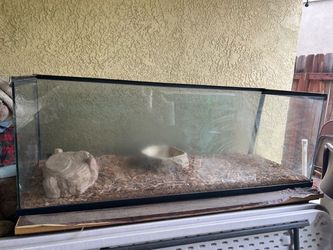 Large reptile cage