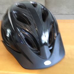 Adult Bike Helmet