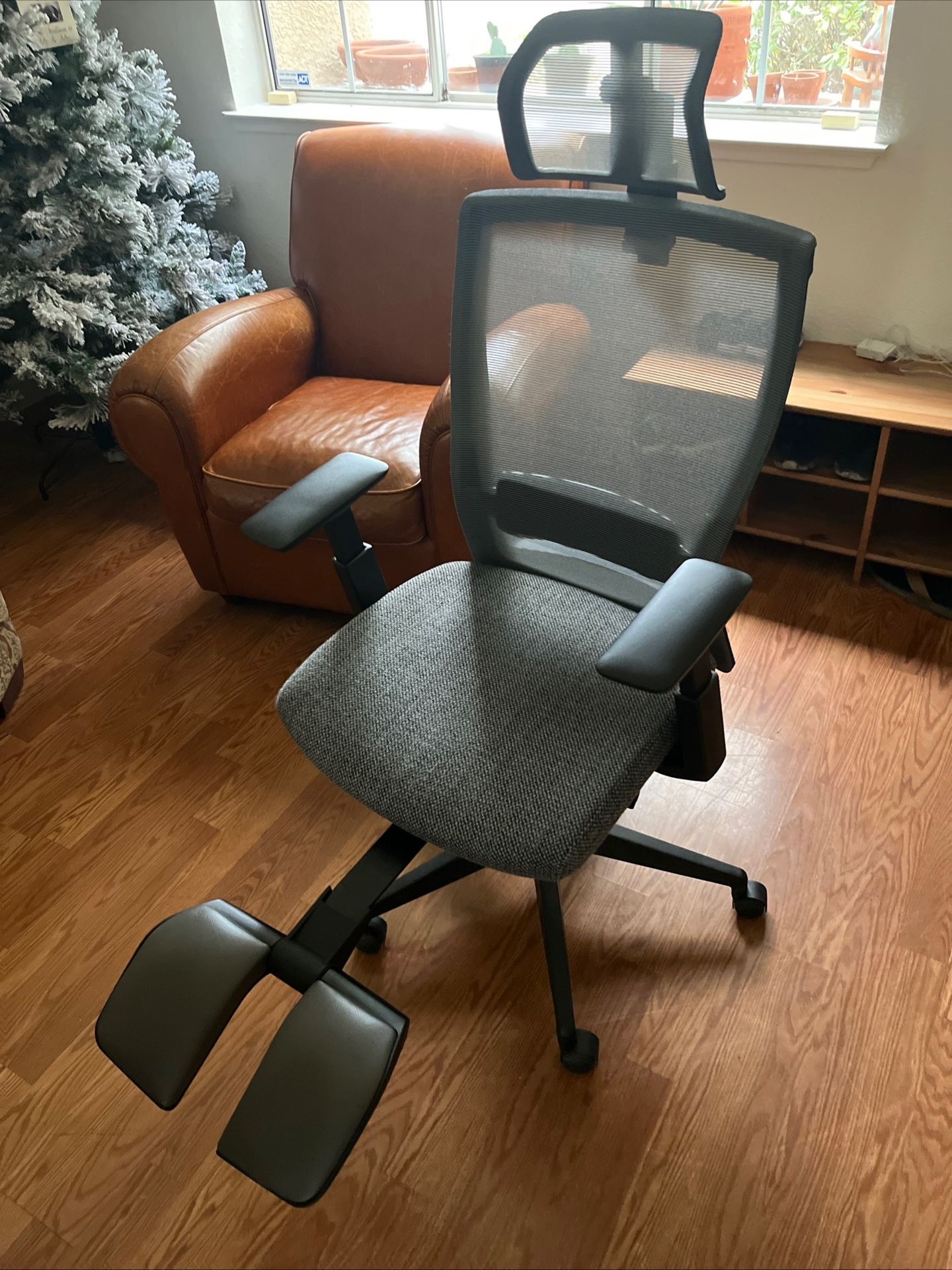 Ergonomic Office Chair Autonomous