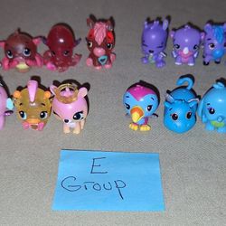 Hatchimal Colleggtibles, Group E, 20 Asstd. Characters 