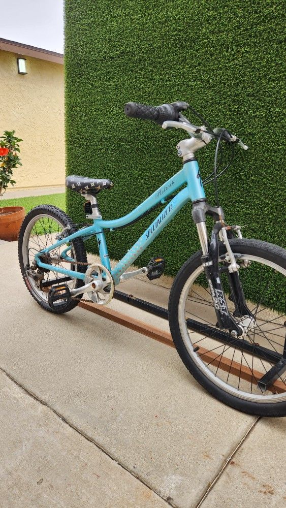 Specialized Bike