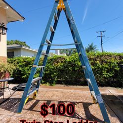 Werner 8 FT. Fiberglass Twin Step Ladder