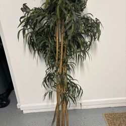 Bamboo Sticks Decorative 