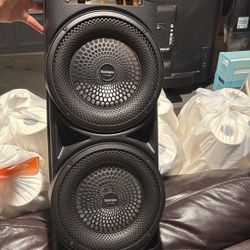 Big Speaker With Microphone 
