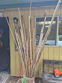 Bamboo poles