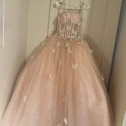Modern Blush Butterfly Quinceañera Dress