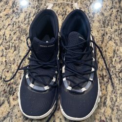 Curry Shoes 