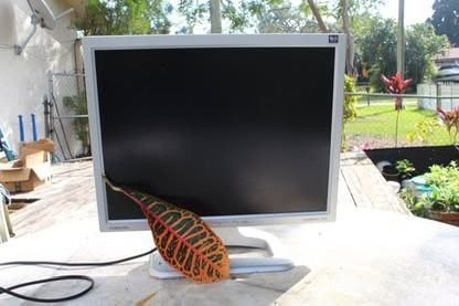 Samsung 21' Monitor