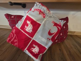 WSU Cougars