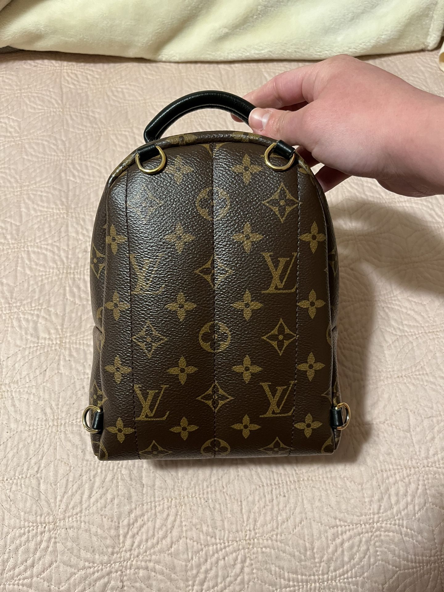 Louis Vuitton Palm Springs Mini Backpack for Sale in Compton, CA