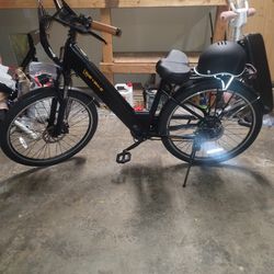 1000w Electric Bike 