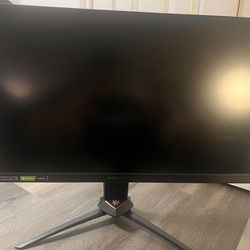 Acer Predator Monitor 