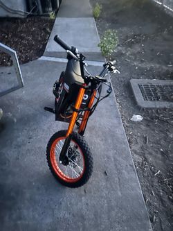 Electric E bike 48 V pegasus