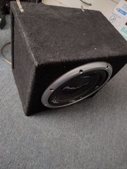 Pioneer 12 speaker