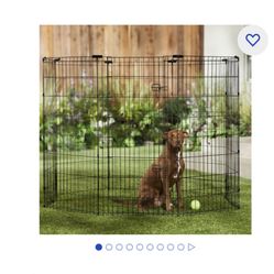 Dog Fence 