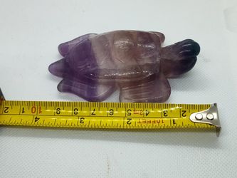 fluorite sea turtle 