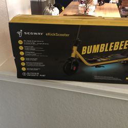 Segway ekickScooter