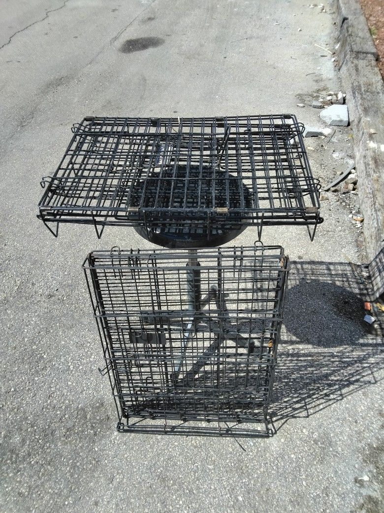 Animal Cages 
