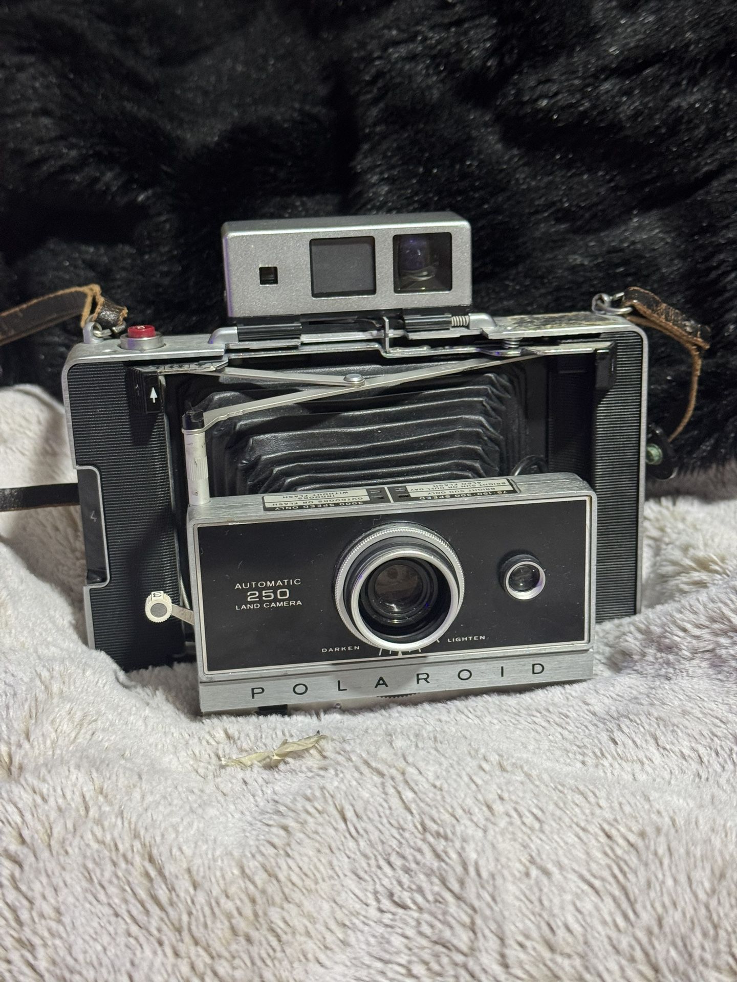 Vintage Cameras