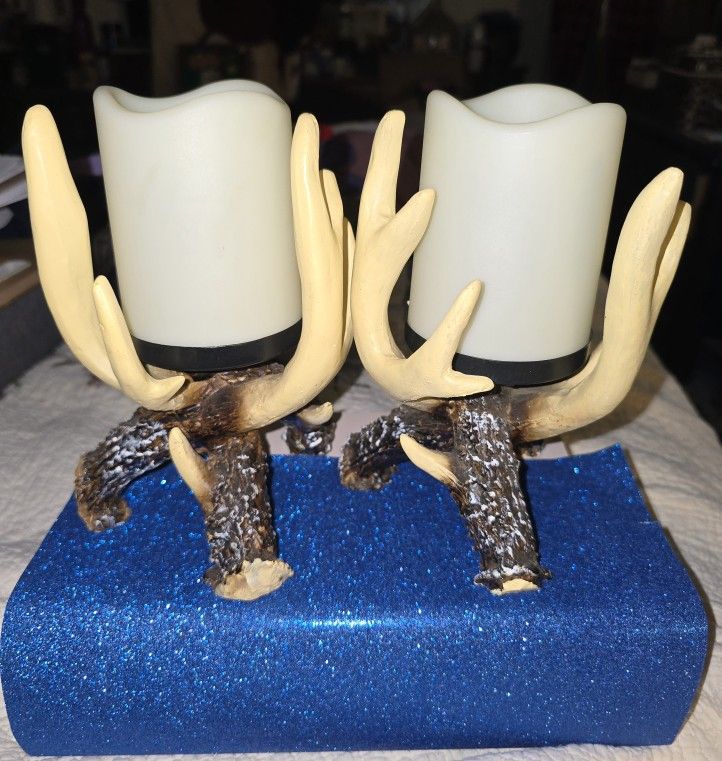 Hobby Lobby Faux Antler Decor~