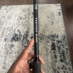 Daiwa Proteus Spinning Rod