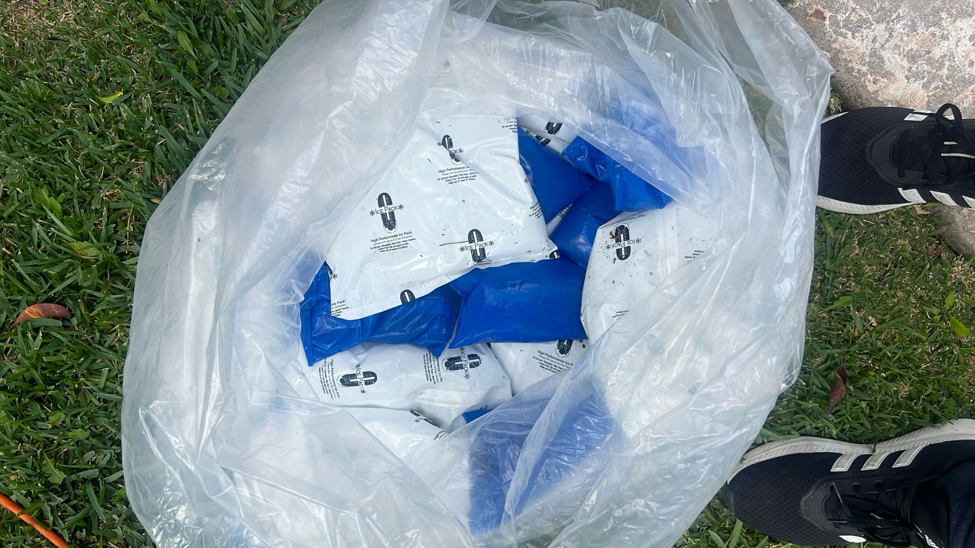 ice packs