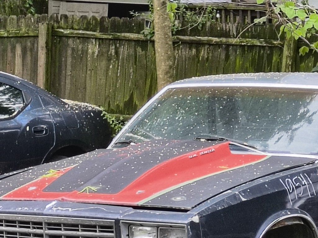 79-80 El Camino Cowl Induction Hood