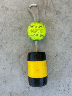 The Mini Xelerator Fastpitch Softball Pitching Trainer - 11" Premium Leather Ball