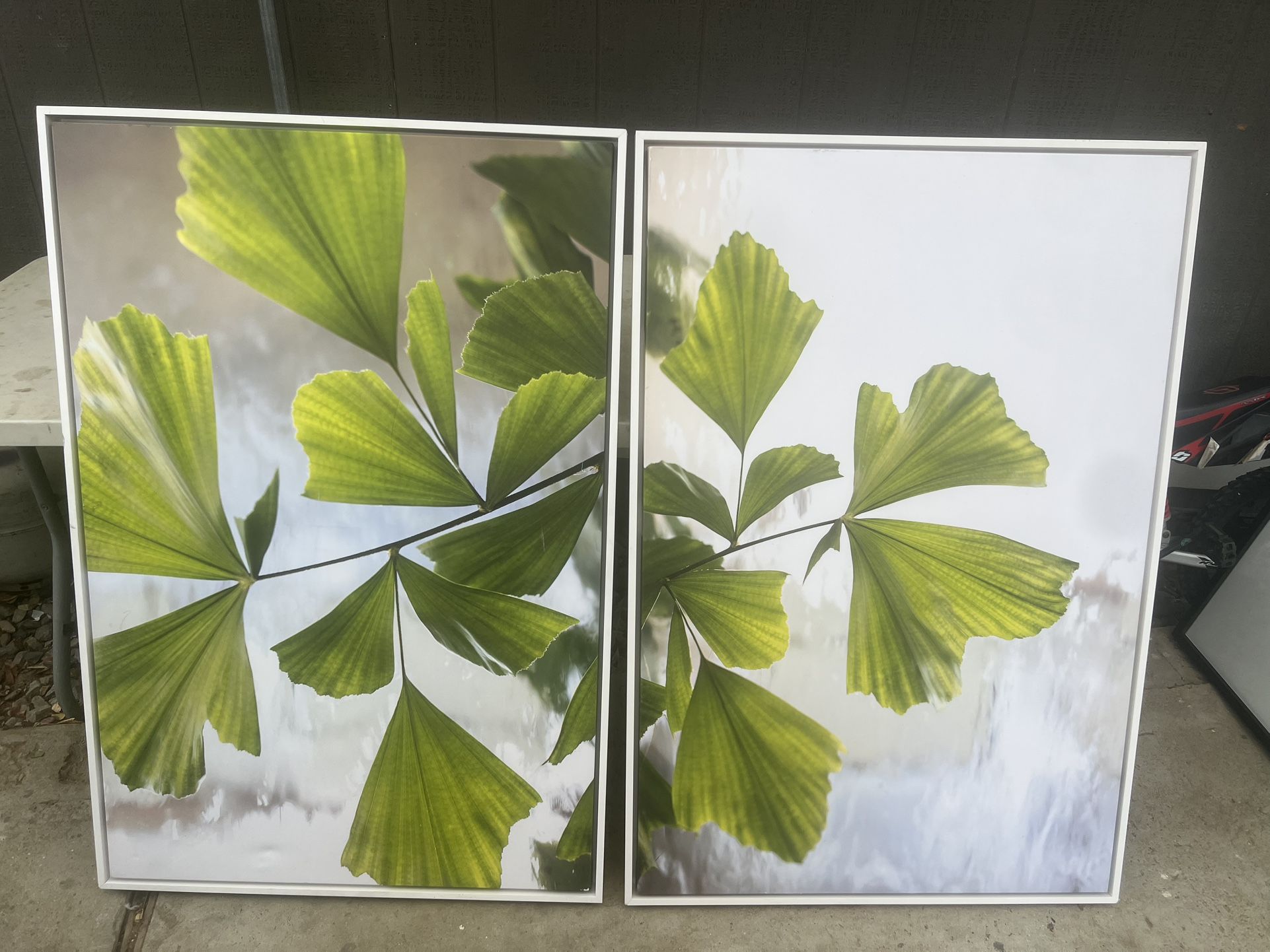 Wall Decor