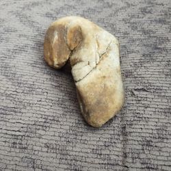 It Is A Stone I Found In My Yard 