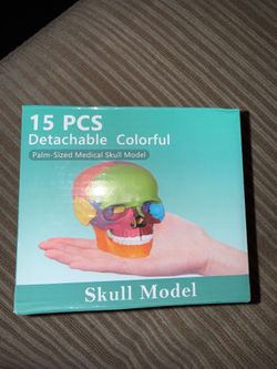 15 piece detachable Skull