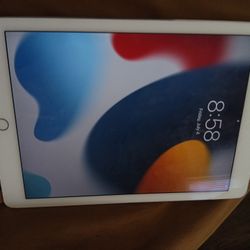 Apple Ipad