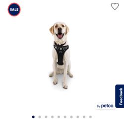 Dog Leash harness from Petco $20 OBO
