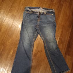22T Torrid Luxe Slim Boot Jeans 