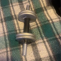 10lb Dumbbell 