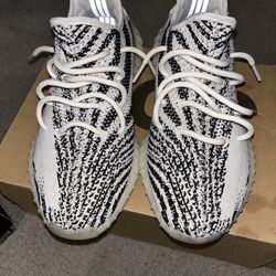 Yeezy Zebra V2
