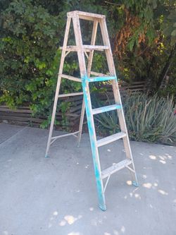 Ladder Lightweight 6' Tall Very Surdy