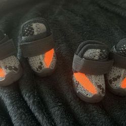 Dog Sneakers