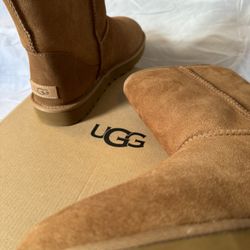 Classic UGGs