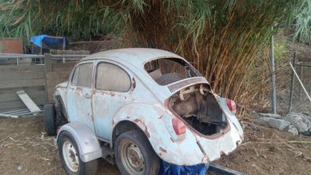 Vw bug