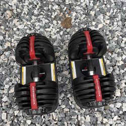 Bowflex Dumbbells 